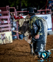 10-225319-2020 North Texas Fair and rodeo denton bulls first perfeqn}