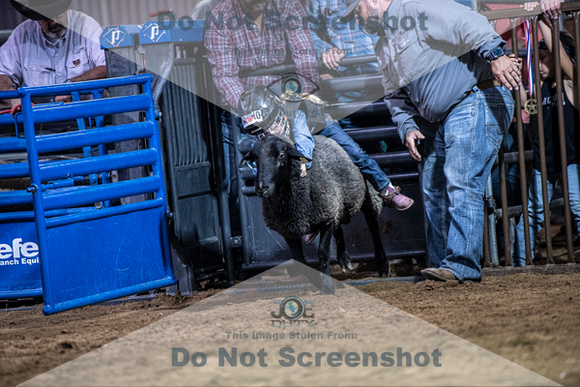 10-205005-2020 North Texas Fair and rodeo denton muttin bustingseqn}