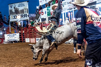 _JOE6791.NEF_8-26-2022_North Texas State Fair Rodeo_Bulls_Perf 2_Lisa Duty8381