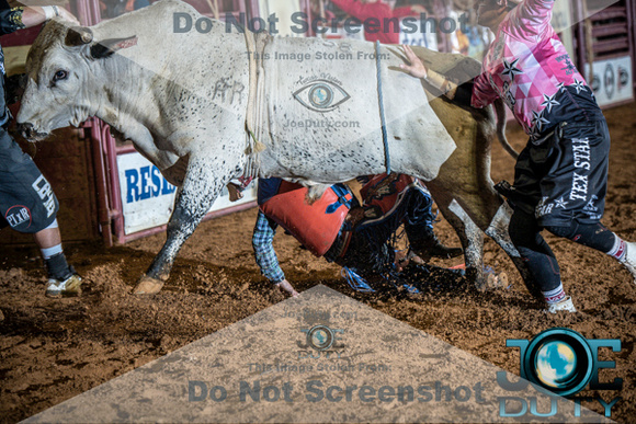 10-225422-2020 North Texas Fair and rodeo denton bulls first perfeqn}