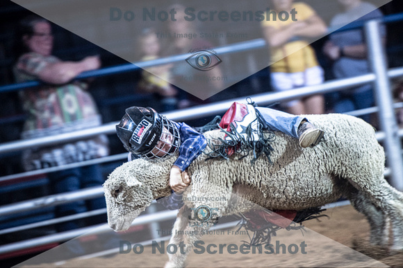 10-205032-2020 North Texas Fair and rodeo denton muttin bustingseqn}