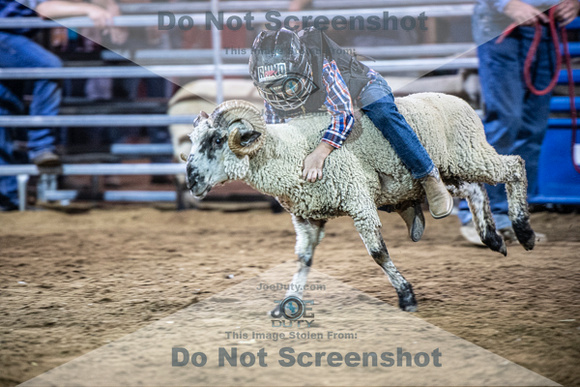 10-204962-2020 North Texas Fair and rodeo denton muttin bustingseqn}