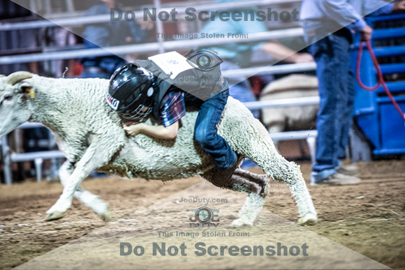 10-205037-2020 North Texas Fair and rodeo denton muttin bustingseqn}