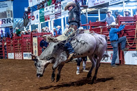 _JOE6784.NEF_8-26-2022_North Texas State Fair Rodeo_Bulls_Perf 2_Lisa Duty8374