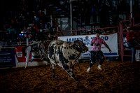10-174423-2020 North Texas Fair and rodeo denton seqn}