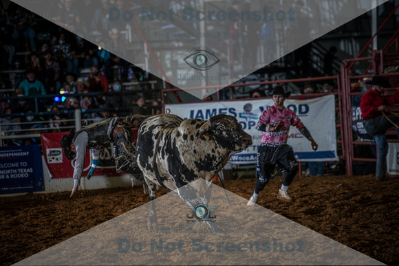 10-174423-2020 North Texas Fair and rodeo denton seqn}
