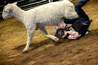 10-204822-2020 North Texas Fair and rodeo denton muttin bustingseqn}