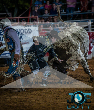 10-225317-2020 North Texas Fair and rodeo denton bulls first perfeqn}