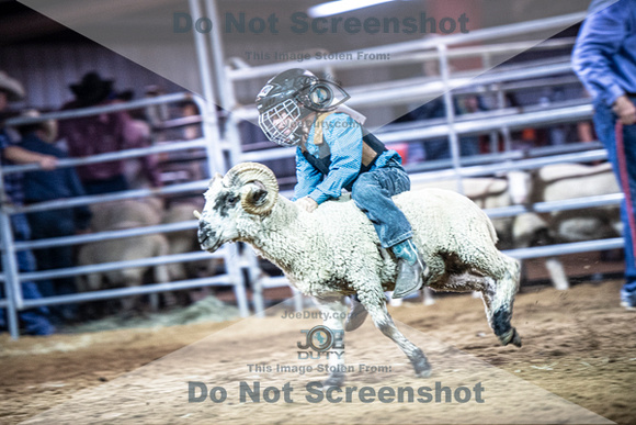 10-205043-2020 North Texas Fair and rodeo denton muttin bustingseqn}