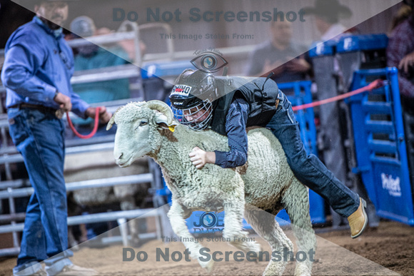 10-205012-2020 North Texas Fair and rodeo denton muttin bustingseqn}