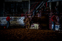 10-174389-2020 North Texas Fair and rodeo denton seqn}