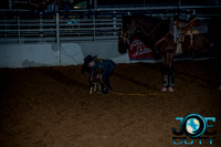 10-215806-2020 North Texas Fair and rodeo under 21 2nd perf lisafeqn}