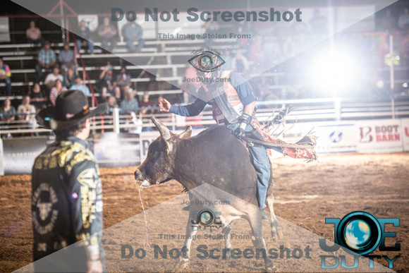 10-225436-2020 North Texas Fair and rodeo denton bulls first perfeqn}