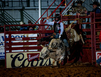 10-17-2020,North Texas fair and rodeo,BR,Colten Kelly,Duty-8