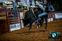 10-225190-2020 North Texas Fair and rodeo denton bulls first perfeqn}