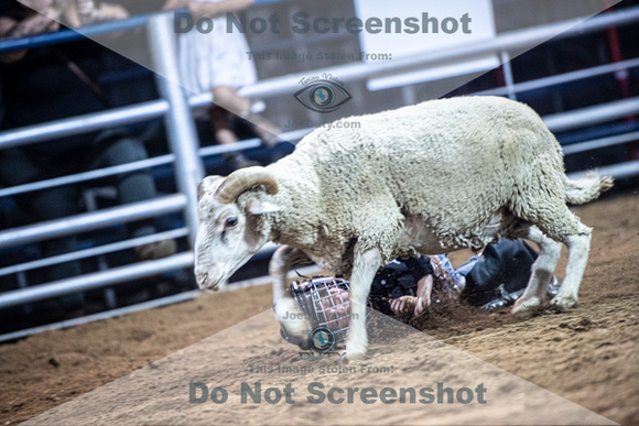 10-205003-2020 North Texas Fair and rodeo denton muttin bustingseqn}