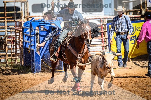 _JDZ0221-03-25-2022_Huntsville rodeo_Steer Tripping_JoeDuty-01395