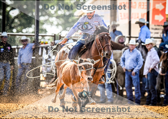 6-10-2021_PCSP rodeo_weatherford, Texass_Slack Steer Tripping_Pete Carr Rodeo_Joe Duty8318