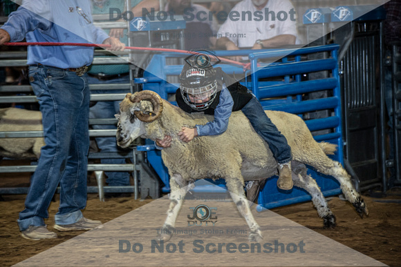 10-204911-2020 North Texas Fair and rodeo denton muttin bustingseqn}