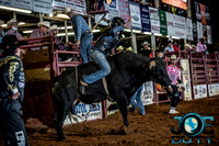 10-225187-2020 North Texas Fair and rodeo denton bulls first perfeqn}