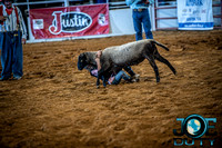 10-225516-2020 North Texas Fair and rodeo denton bulls first perfeqn}