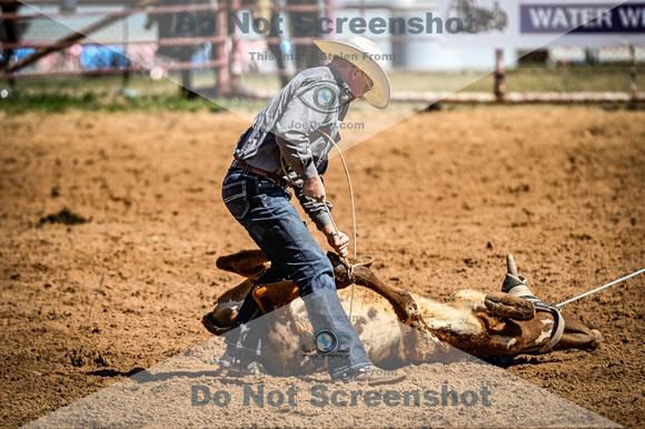 _JDZ0216-03-25-2022_Huntsville rodeo_Steer Tripping_JoeDuty-01390