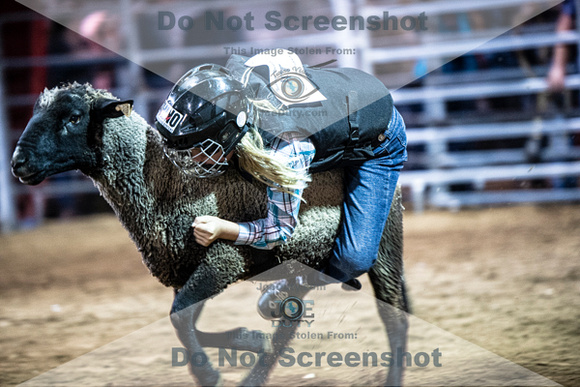 10-204950-2020 North Texas Fair and rodeo denton muttin bustingseqn}
