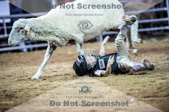 10-205059-2020 North Texas Fair and rodeo denton muttin bustingseqn}