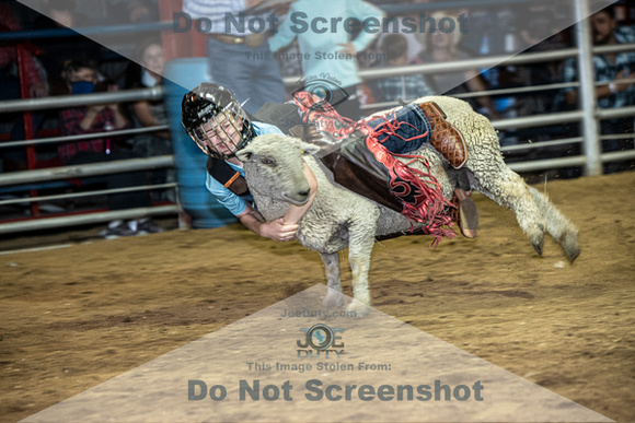 10-204903-2020 North Texas Fair and rodeo denton muttin bustingseqn}