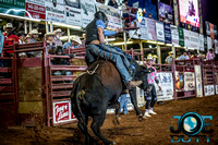 10-225174-2020 North Texas Fair and rodeo denton bulls first perfeqn}