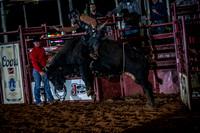 10-174410-2020 North Texas Fair and rodeo denton seqn}