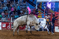 _JOE6758.NEF_8-26-2022_North Texas State Fair Rodeo_Bulls_Perf 2_Lisa Duty8348