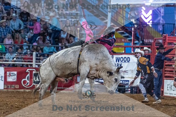 _JOE6758.NEF_8-26-2022_North Texas State Fair Rodeo_Bulls_Perf 2_Lisa Duty8348