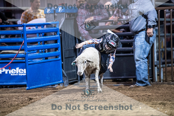 10-205041-2020 North Texas Fair and rodeo denton muttin bustingseqn}