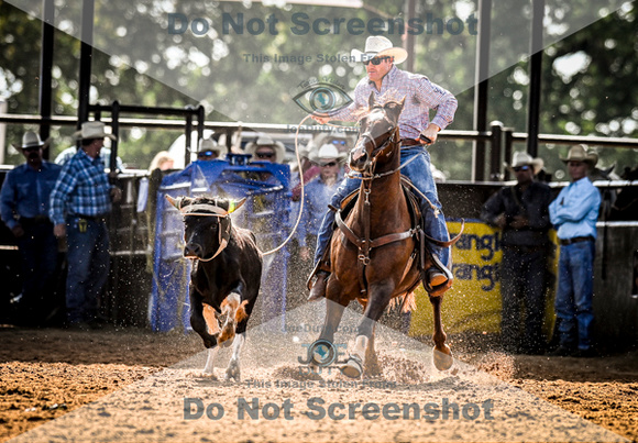 6-10-2021_PCSP rodeo_weatherford, Texass_Slack Steer Tripping_Pete Carr Rodeo_Joe Duty8455