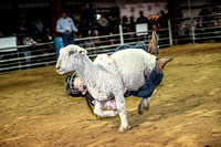 10-204819-2020 North Texas Fair and rodeo denton muttin bustingseqn}