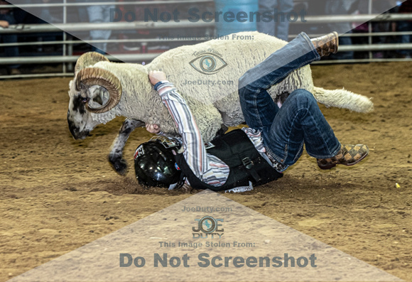 10-204826-2020 North Texas Fair and rodeo denton muttin bustingseqn}