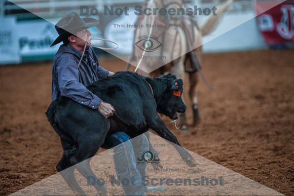 North Texas Fair and rodeo denton2632