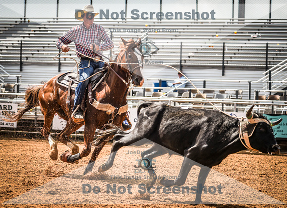 6-10-2021_PCSP rodeo_weatherford, Texass_Slack Steer Tripping_Pete Carr Rodeo_Joe Duty7446