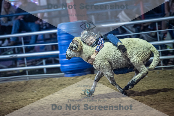 10-204976-2020 North Texas Fair and rodeo denton muttin bustingseqn}