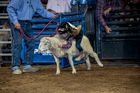 10-204810-2020 North Texas Fair and rodeo denton muttin bustingseqn}