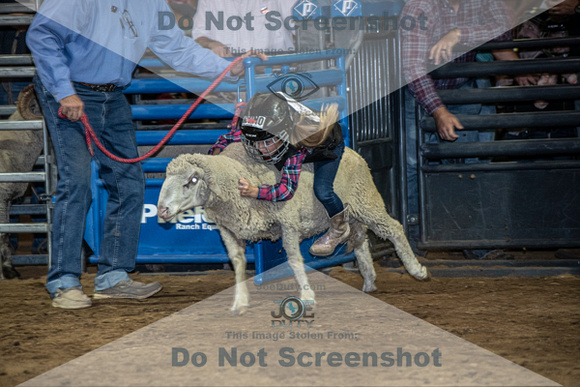 10-204810-2020 North Texas Fair and rodeo denton muttin bustingseqn}