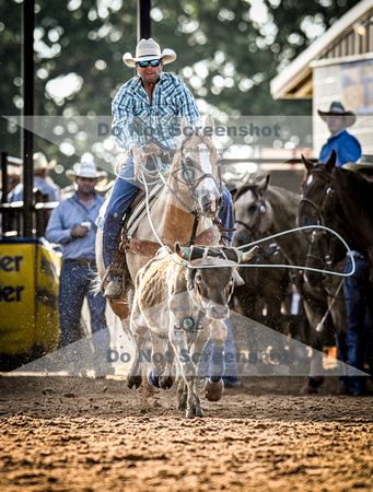 6-10-2021_PCSP rodeo_weatherford, Texass_Slack Steer Tripping_Pete Carr Rodeo_Joe Duty8063