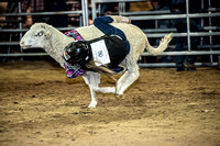 10-204812-2020 North Texas Fair and rodeo denton muttin bustingseqn}
