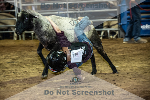 10-204863-2020 North Texas Fair and rodeo denton muttin bustingseqn}