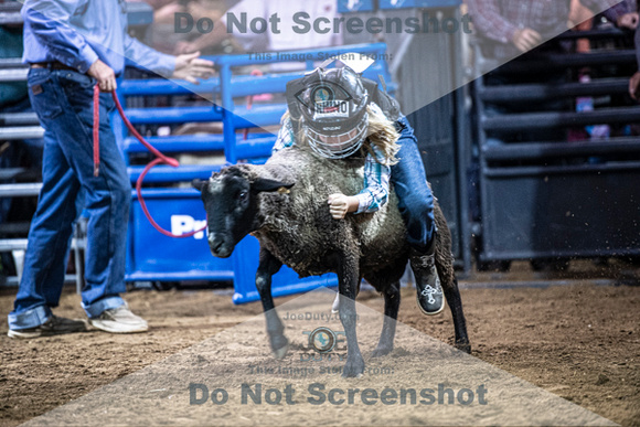 10-204949-2020 North Texas Fair and rodeo denton muttin bustingseqn}