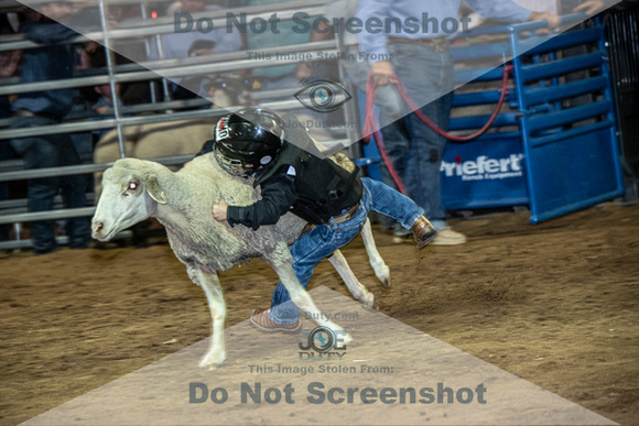 10-204869-2020 North Texas Fair and rodeo denton muttin bustingseqn}