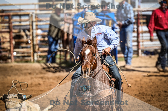 _JDZ0156-03-25-2022_Huntsville rodeo_Steer Tripping_JoeDuty-01330