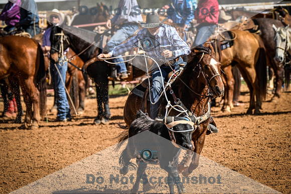 _JDZ9861-03-25-2022_Huntsville rodeo_Steer Tripping_JoeDuty-01016