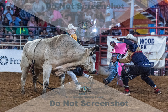 _JOE6766.NEF_8-26-2022_North Texas State Fair Rodeo_Bulls_Perf 2_Lisa Duty8356